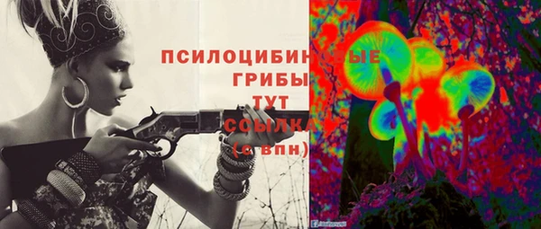 дурь Верея