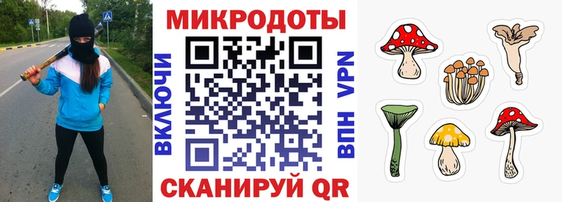 Галлюциногенные грибы GOLDEN TEACHER  Тверь 